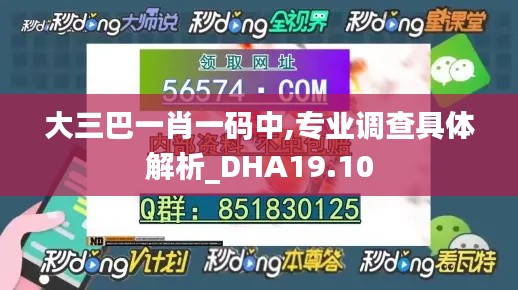 大三巴一肖一码中,专业调查具体解析_DHA19.10