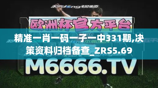精准一肖一码一子一中331期,决策资料归档备查_ZRS5.69