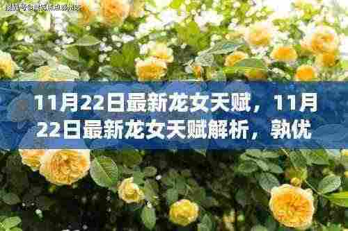 11月22日龙女天赋深度解析，优劣对比与个人立场观点碰撞