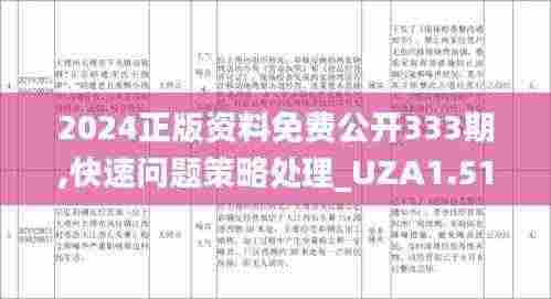 2024正版资料免费公开333期,快速问题策略处理_UZA1.51