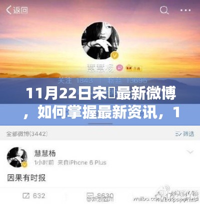 11月22日宋喆最新微博动态全攻略,掌握最新资讯,追踪微博动态