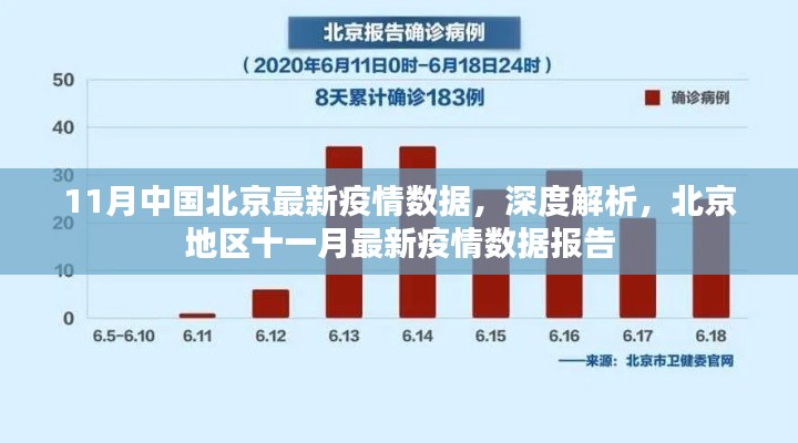 北京地区最新疫情数据报告,深度解析北京疫情数据报告(十一月版)