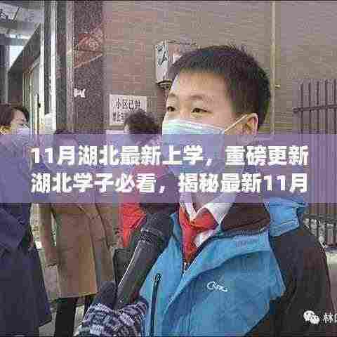 揭秘湖北学子必看，最新11月湖北上学动态开启全新学习篇章！