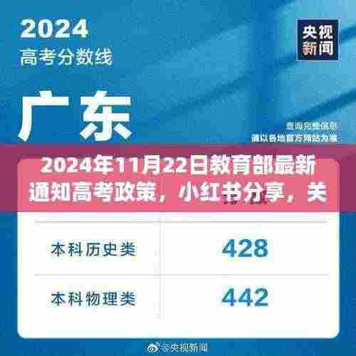 2024年高考政策最新动态揭秘,教育部通知一网打尽,小红书全面分享