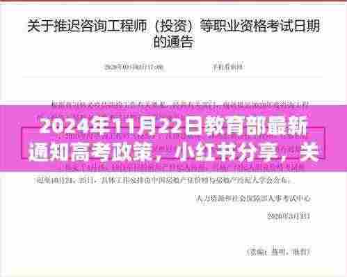 2024年高考政策最新动态揭秘，教育部通知一网打尽，小红书全面分享