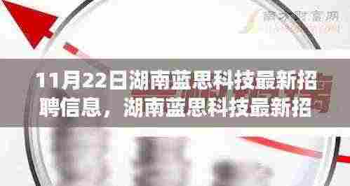 湖南蓝思科技最新招聘信息全攻略,获取与应聘指南(初学者与进阶用户适用)