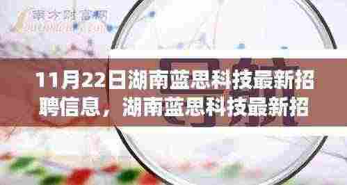 湖南蓝思科技最新招聘信息全攻略,获取与应聘指南(初学者与进阶用户适用)