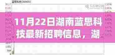湖南蓝思科技最新招聘信息全攻略,获取与应聘指南(初学者与进阶用户适用)