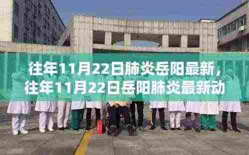 深度解析与防控措施,岳阳地区往年11月22日肺炎最新动态报告