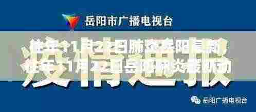深度解析与防控措施,岳阳地区往年11月22日肺炎最新动态报告