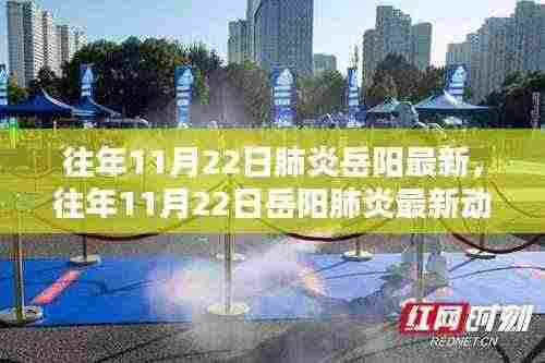 深度解析与防控措施,岳阳地区往年11月22日肺炎最新动态报告