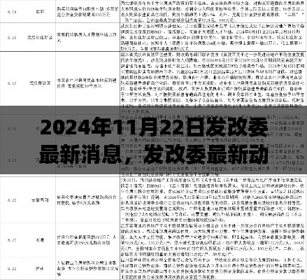 发改委最新动态解读,政策走向分析及其影响展望(2024年11月22日)