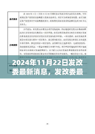 发改委最新动态解读,政策走向分析及其影响展望(2024年11月22日)
