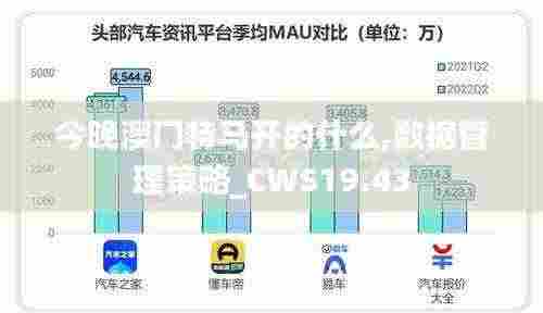 今晚澳门特马开的什么,数据管理策略_CWS19.43