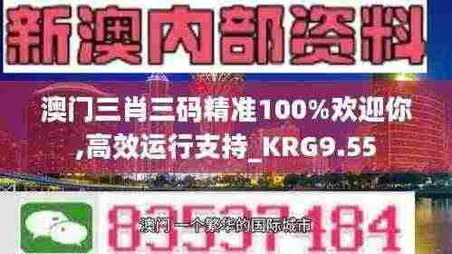 澳门三肖三码精准100%欢迎你,高效运行支持_KRG9.55