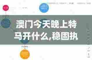 澳门今天晚上特马开什么,稳固执行战略分析_IST9.34