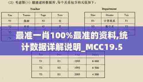 最准一肖100%最准的资料,统计数据详解说明_MCC19.5