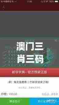 澳门三肖三码精准100%新华字典,科学数据解读分析_ISV19.24