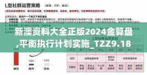 新澳资料大全正版2024金算盘,平衡执行计划实施_TZZ9.18