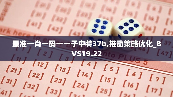 最准一肖一码一一子中特37b,推动策略优化_BVS19.22