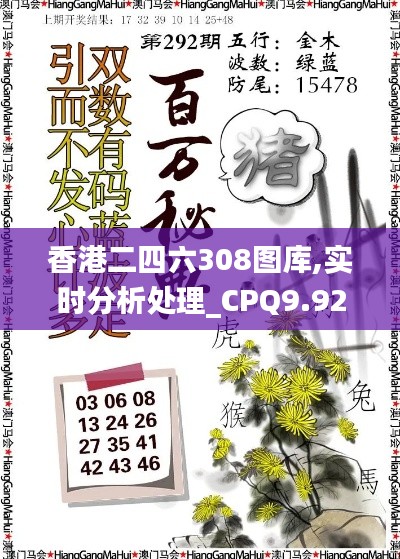香港二四六308图库,实时分析处理_CPQ9.92