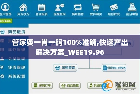 管家婆一肖一码100%准确,快速产出解决方案_WEE19.96