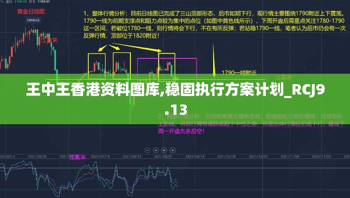 王中王香港资料图库,稳固执行方案计划_RCJ9.13