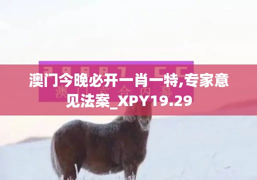澳门今晚必开一肖一特,专家意见法案_XPY19.29