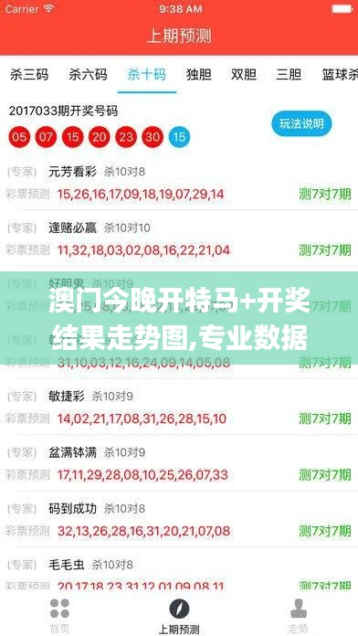 澳门今晚开特马+开奖结果走势图,专业数据解释设想_NEX19.4