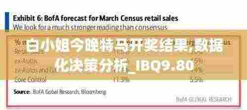 白小姐今晚特马开奖结果,数据化决策分析_IBQ9.80