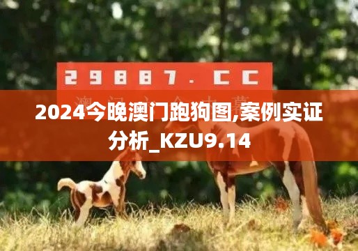 2024今晚澳门跑狗图,案例实证分析_KZU9.14