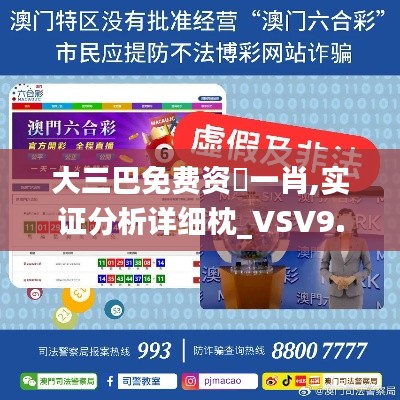 大三巴免费资枓一肖,实证分析详细枕_VSV9.40