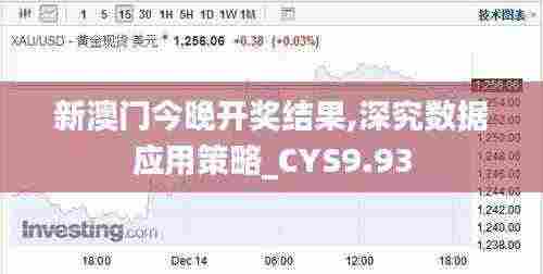 新澳门今晚开奖结果,深究数据应用策略_CYS9.93