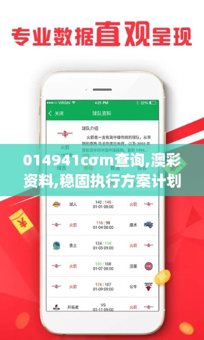 014941cσm查询,澳彩资料,稳固执行方案计划_MYF9.27