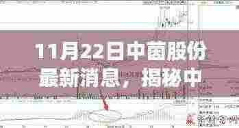 揭秘中茵股份最新动态,小巷特色小店奇遇记