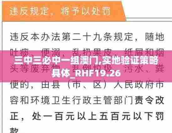 三中三必中一组澳门,实地验证策略具体_RHF19.26