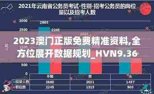2023澳门正版免费精准资料,全方位展开数据规划_HVN9.36