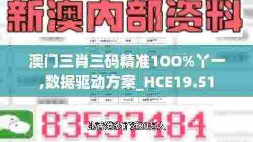 澳门三肖三码精准1OO%丫一,数据驱动方案_HCE19.51
