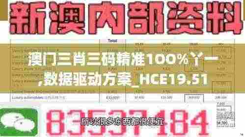 澳门三肖三码精准1OO%丫一,数据驱动方案_HCE19.51