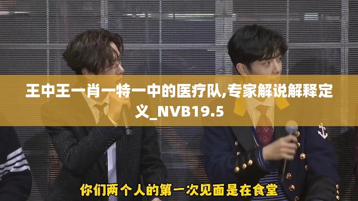 王中王一肖一特一中的医疗队,专家解说解释定义_NVB19.5