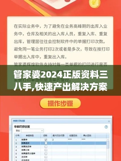 管家婆2024正版资料三八手,快速产出解决方案_UVK9.5