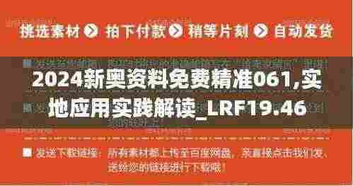 2024新奥资料免费精准061,实地应用实践解读_LRF19.46