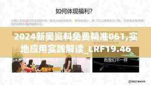 2024新奥资料免费精准061,实地应用实践解读_LRF19.46