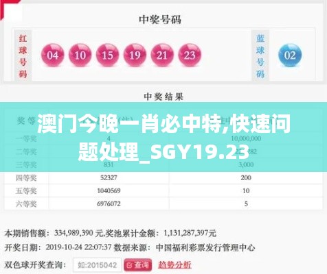 澳门今晚一肖必中特,快速问题处理_SGY19.23