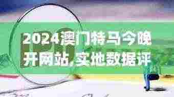 2024澳门特马今晚开网站,实地数据评估分析_KUW19.35