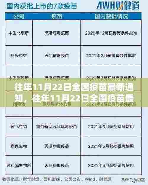往年11月22日全国疫苗最新通知详解,要点探讨与疫苗动态概览