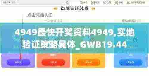 4949最快开奖资料4949,实地验证策略具体_GWB19.44