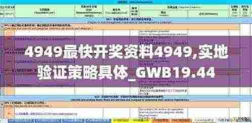 4949最快开奖资料4949,实地验证策略具体_GWB19.44