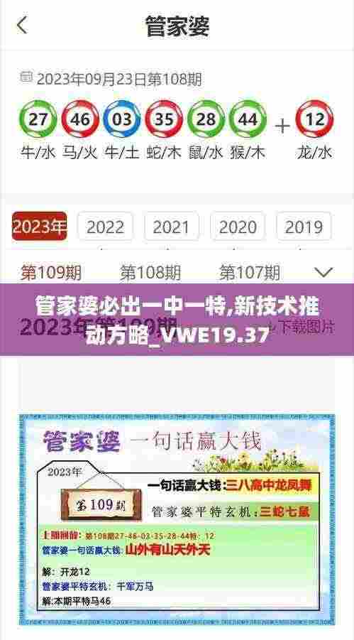 管家婆必出一中一特,新技术推动方略_VWE19.37