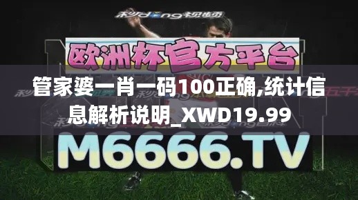 管家婆一肖一码100正确,统计信息解析说明_XWD19.99